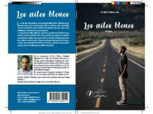 LES AILES BLEUES